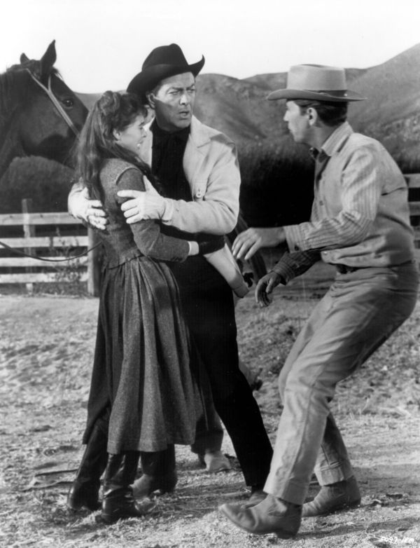 Cattle King (1963) Tay Synopsis, Characteristics, Moods